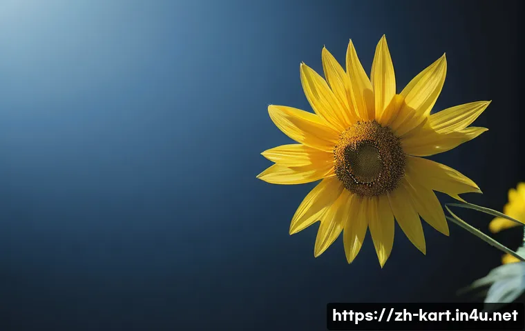 카트라이더 팬아트와 커뮤니티 성공 스토리 관련 이미지 1